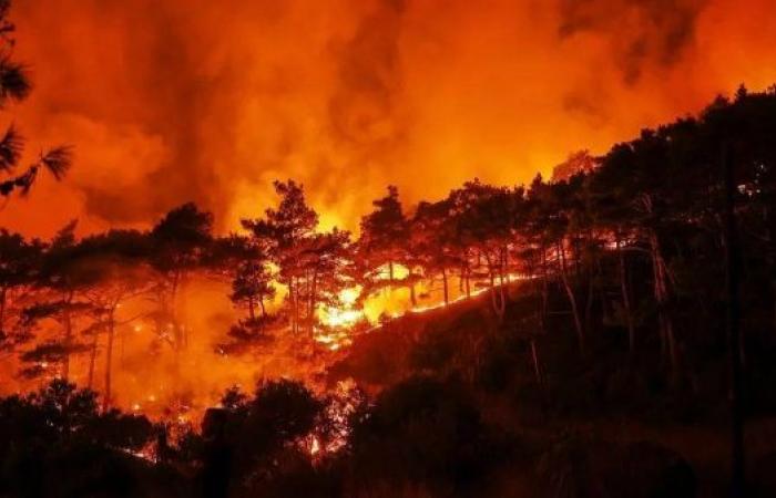 Syria issues appeal to EU for help battling massive wildfires along northwestern coast