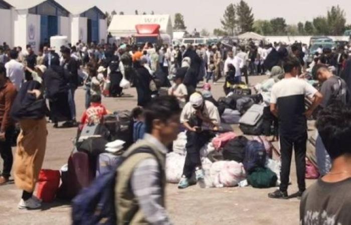 Iran expels half a million Afghans in 16-day stretch since recent conflict with Israel, UN says