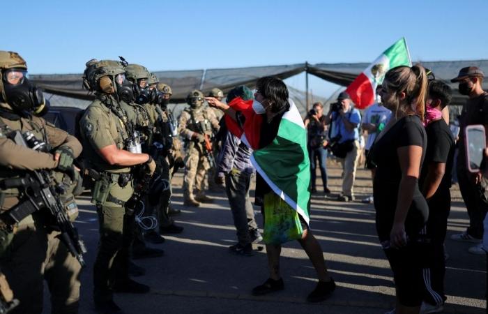 One dead, 200 arrested in California cannabis farm raid by ICE as Trump calls protestors ‘slimeballs’