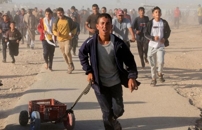 UN slams Israel as 10 more Palestinians killed seeking aid in Gaza, nearly 800 deaths at relief sites since May