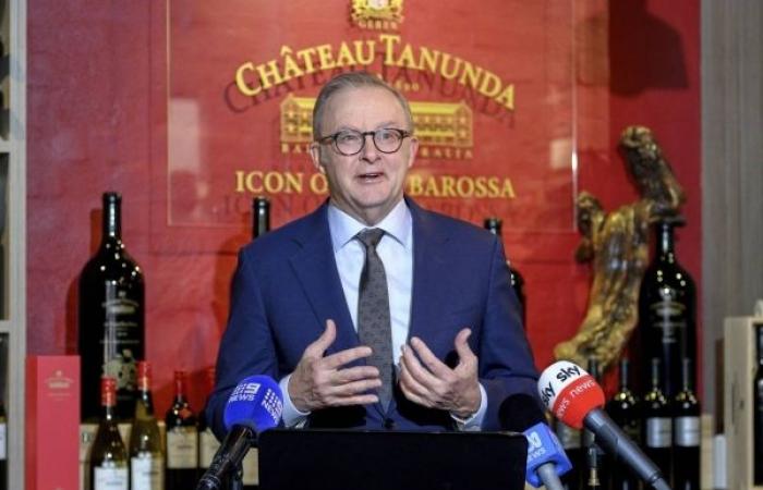 Albanese visits China to boost trade ties, lead major business delegation
