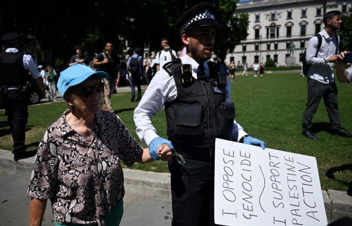 Pro-Gaza activists detained across five cities as UK enforces terror ban on protest group Palestine Action