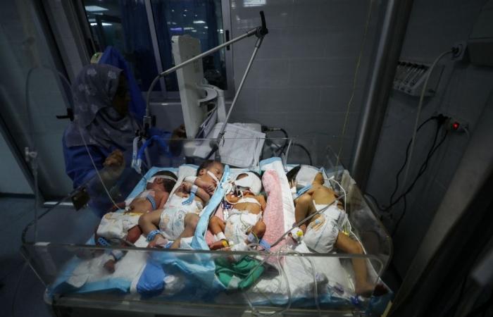 UN warns Gaza fuel crisis ‘critical’, aid and health services on brink of collapse