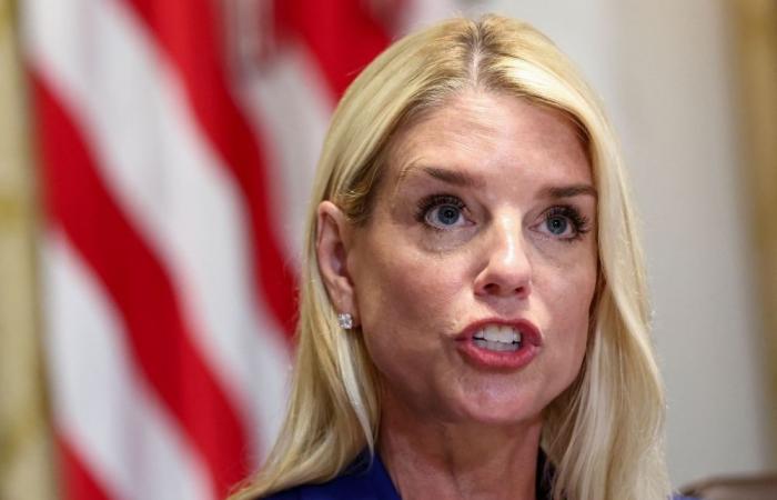 US anti-vaxxer doctor who destroyed Covid jabs, gave fake certs go free after Trump admin pressured to drop charges