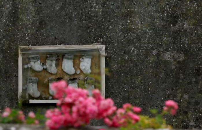 Excavation begins at suspected mass baby grave in Ireland’s Tuam mother and baby home scandal
