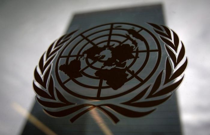 UN rights commission on Israel-Palestine to be renewed as all three members resign
