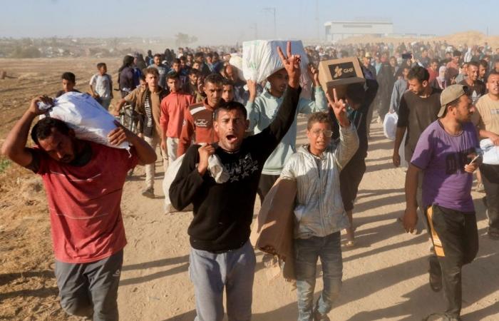 UN says 875 Palestinians have been killed near Gaza aid sites