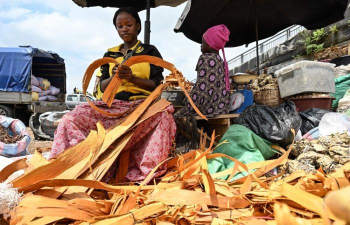 Global health aid plunges to 15-year low as US leads cuts in ‘era of austerity’