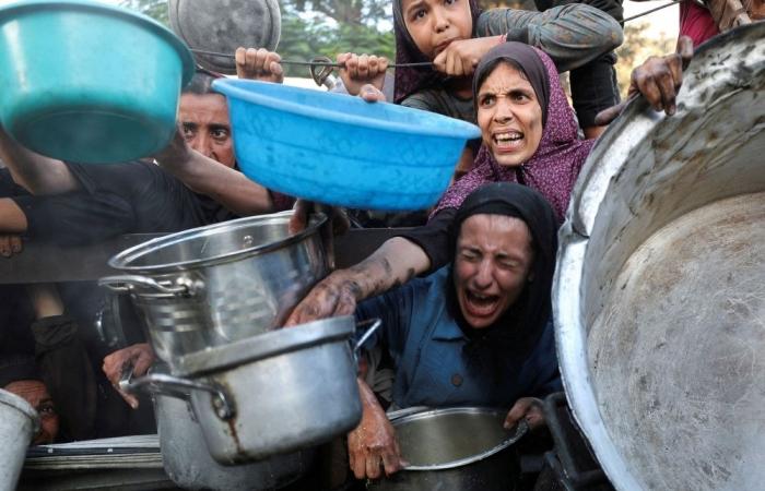 Gaza health officials says 36 killed near aid site as Israeli forces fire on civilians