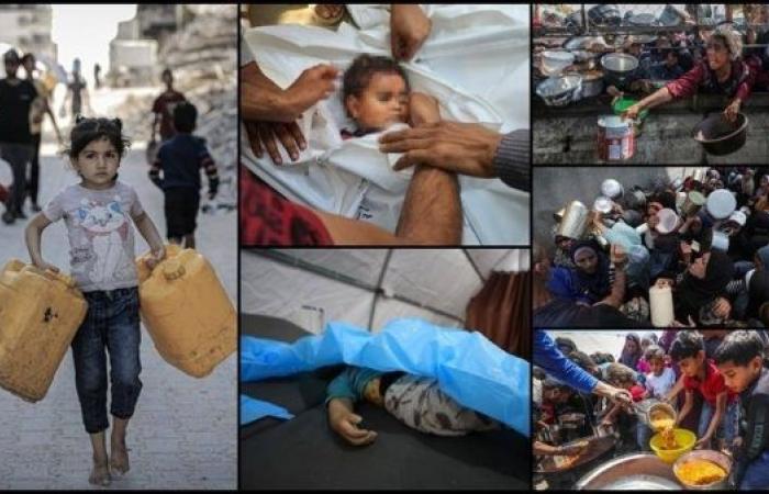 UNRWA accuses Israel of starving Gaza civilians, urges end to siege