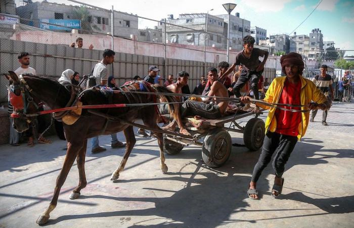 Gaza officials say Israel killed at least 93 civilians desperately seeking food aid