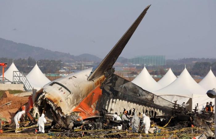 Pilots shut off wrong engine after bird strike in deadly Jeju Air crash, source claims