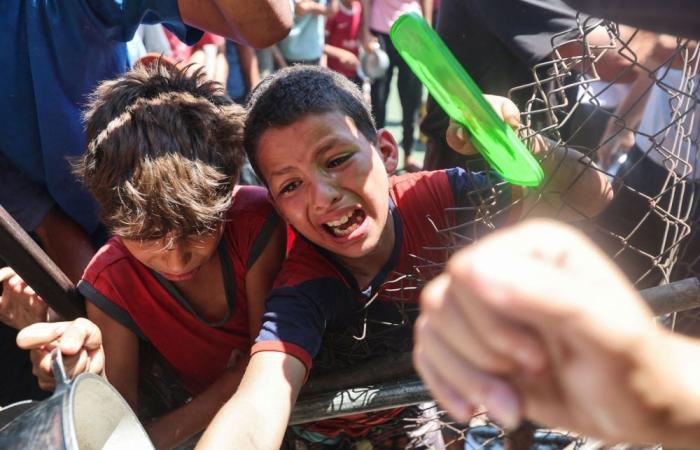 UK, France, 23 countries demand immediate end to Gaza conflict, denounce Israel’s ‘inhumane killing’ of Palestinians