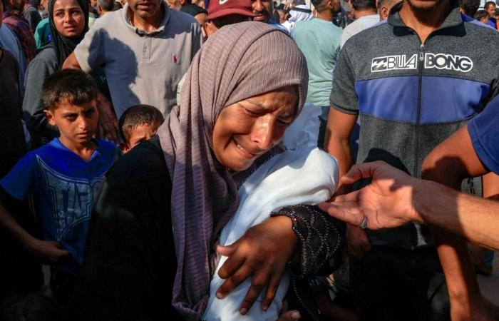 UK, France, 23 countries demand immediate end to Gaza conflict, denounce Israel’s ‘inhumane killing’ of Palestinians