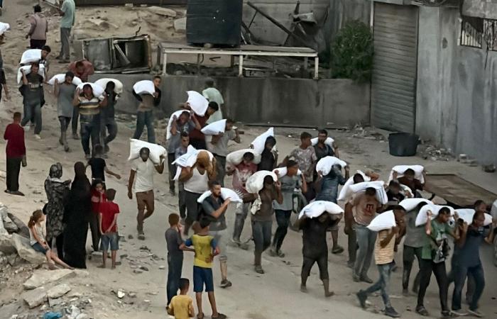 Over 100 NGOs say Gaza now facing ‘mass starvation’ as aid workers join food lines