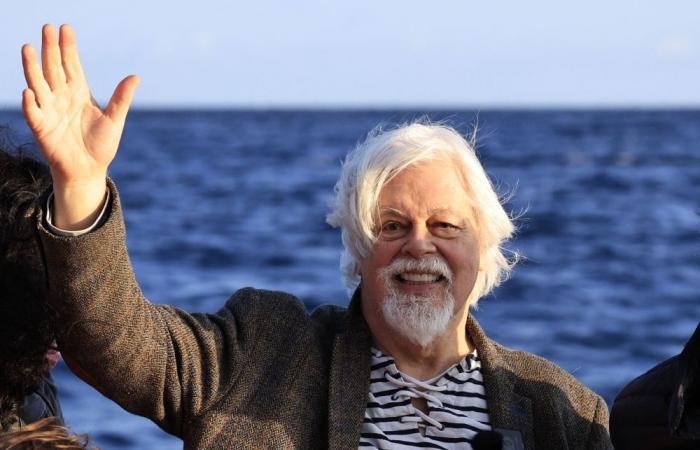 Japan furious as Interpol lifts red notice against anti-whaling activist Paul Watson