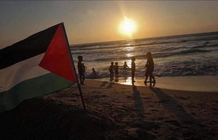 Palestine welcomes France’s plan to recognize Palestinian state