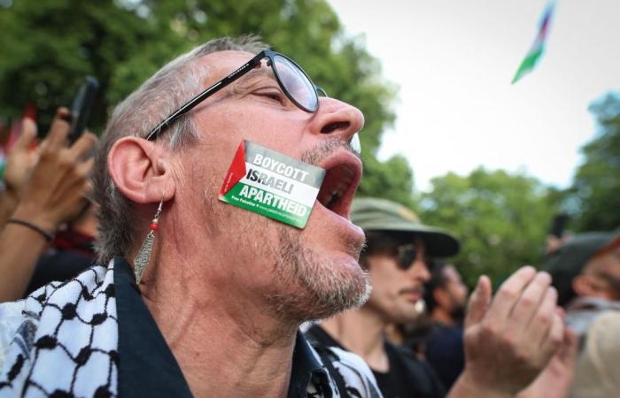 More than 220 UK MPs urge Starmer to recognise Palestinian state