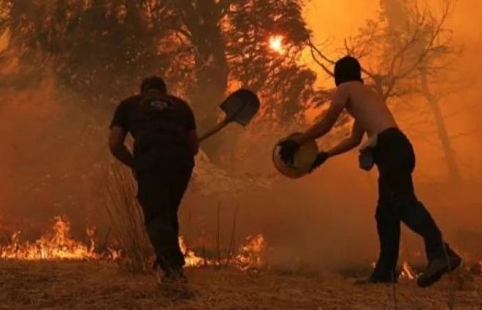 Greece battles five major wildfires as heatwave pushes temperatures to 44°C