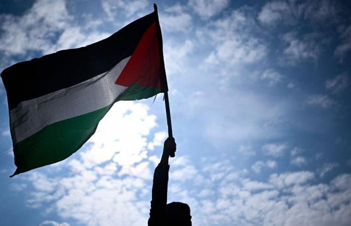 Is it 142, 148 or 149? How AFP counted the countries that recognise the state of Palestine