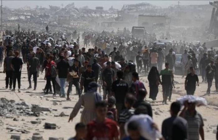 Gaza health chief warns humanitarian truce 'means nothing' without urgent action to save lives