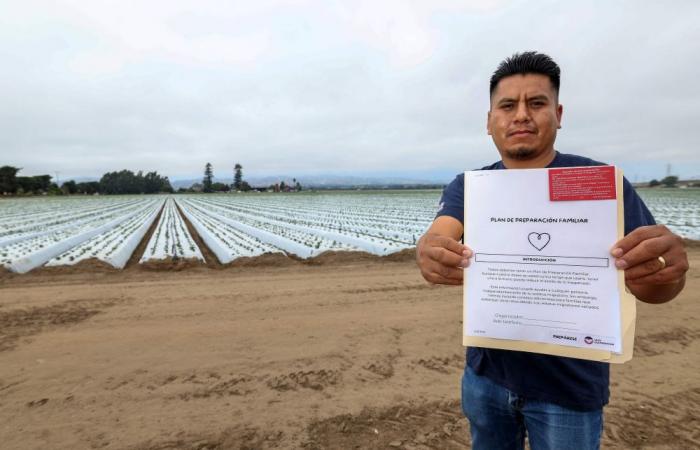 Trump’s immigration crackdown puts US food security on the line, California farmers warn