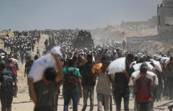 UN races to reach Gaza’s starving as Israel allows limited pause, secure aid routes