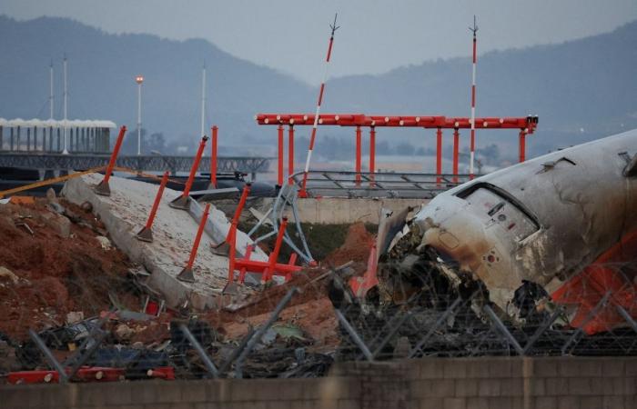 Jeju Air crash: Pilots shut down working engine after bird strike, probe reveals