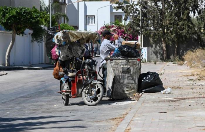 Plastic picking spreads as lifeline for poor and migrants to survive in Tunisia