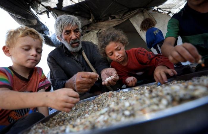 ‘That’s real starvation stuff’: Trump warns of Gaza famine, contradicts Netanyahu as aid trickles in