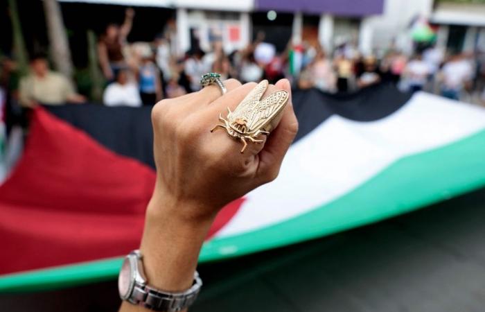 The UN, the Palestinians, Israel and a stalled two-state solution