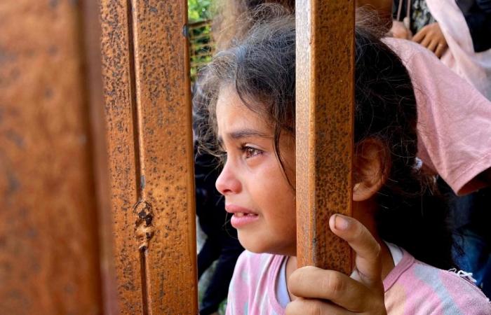 UN: Gaza disaster reminiscent of Ethiopia, Biafra famines