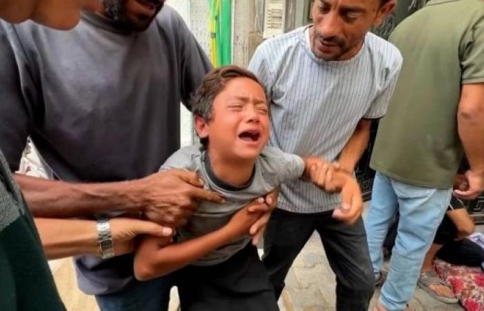 Belgium refers complaints against Israeli soldiers over Gaza war crimes to the ICC