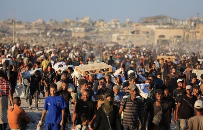 Gaza civil defence: Dozens killed as Israeli troops fire on hungry crowd