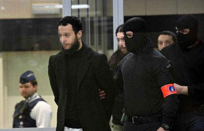 Swedish jihadist gets life for role in burning Jordanian pilot alive in IS cage execution