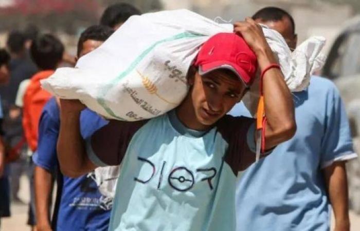 US envoy to visit Gaza, as hospital says dozens killed seeking food