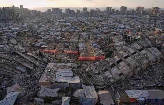 Genocide is taking place in Gaza and Europe is duty bound to stop it, Israeli scholar says