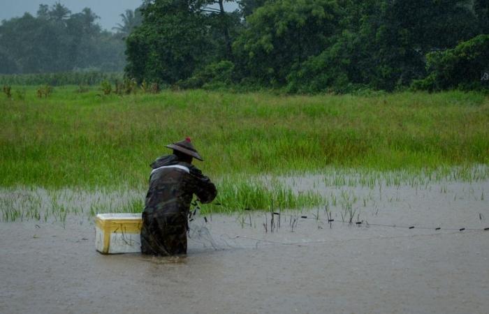Thai storm kills six