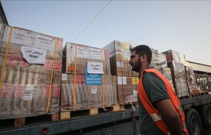 WHO-coordinated medical aid convoy set to enter Gaza amid health system collapse