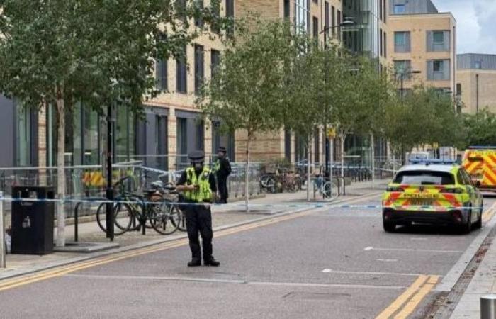 Two arrested after fatal assault of language school student in Cambridge