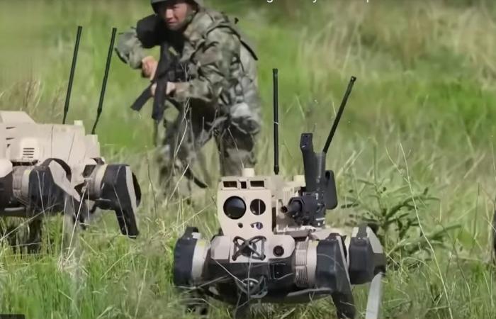 Dogs of war: China unleashes gun-toting ‘robot wolves’ in military push