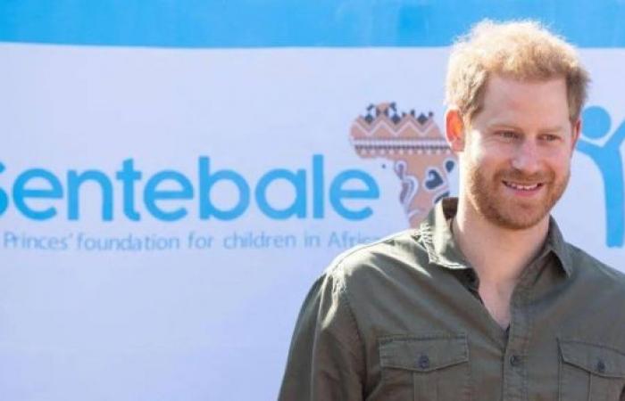 'All sides' to blame in Prince Harry charity row, watchdog finds