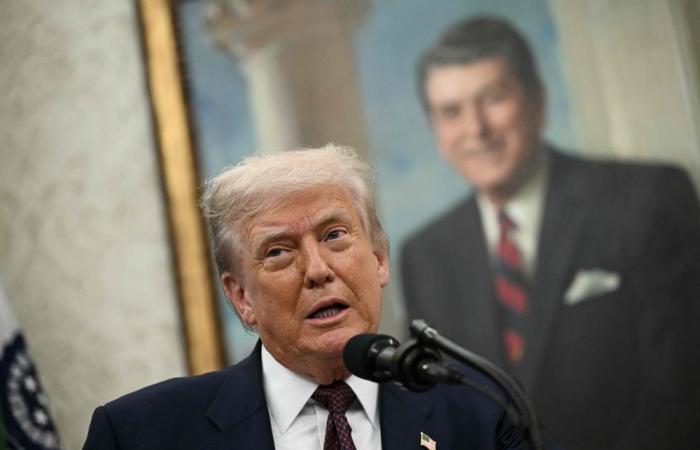 Trump teases cash ‘dividend’ to Americans from tariffs, but who foots the bill as US debt soars?