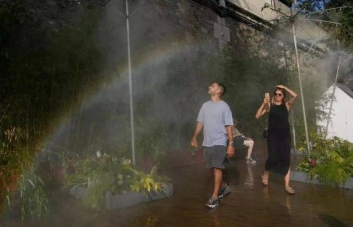 France on high alert as ongoing heatwave fuels wildfire and pollution risks