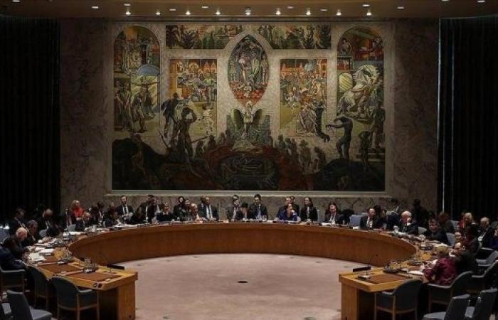 UN Security Council members condemn Israel’s Gaza occupation plan over crimes against humanity
