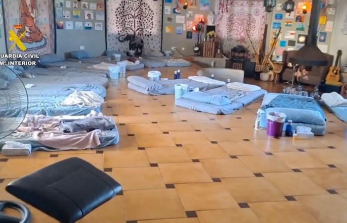 Tripping trouble: Spanish ‘spiritual retreat’ busted for selling deadly frog venom and cactus to global tourists