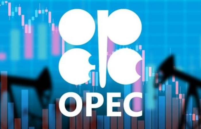 OPEC raises global oil demand forecast for 2026