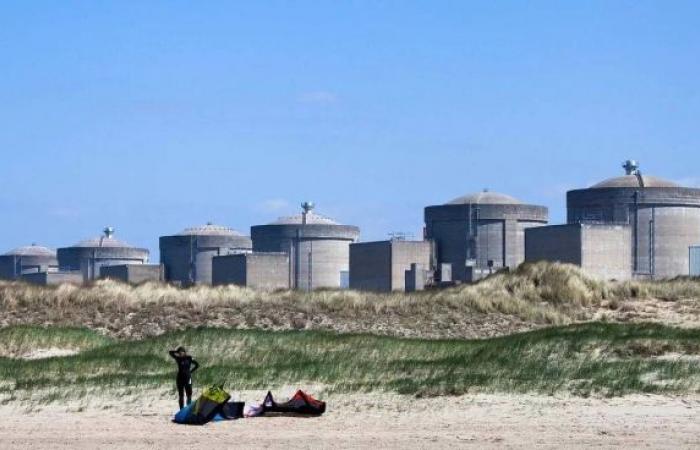 Jellyfish force shutdown of France's Gravelines nuclear plant after clogging cooling system