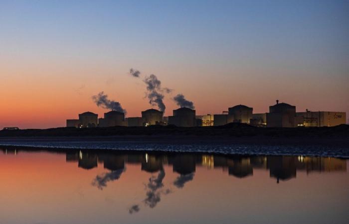 Why did jellyfish shut down a French nuclear facility? An unusual tale of nature versus technology