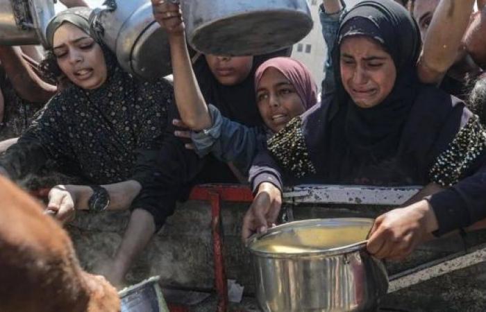 Humanitarian groups call on Israel to end 'weaponization of aid' in Gaza